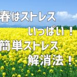 春はストレスいっぱい！簡単ストレス解消法！